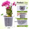 Meshpot Clear Plastic Orchid Pots For Flower Breathable Basin Orchid Planters Root Control Orchid Transparent Desktop Pot