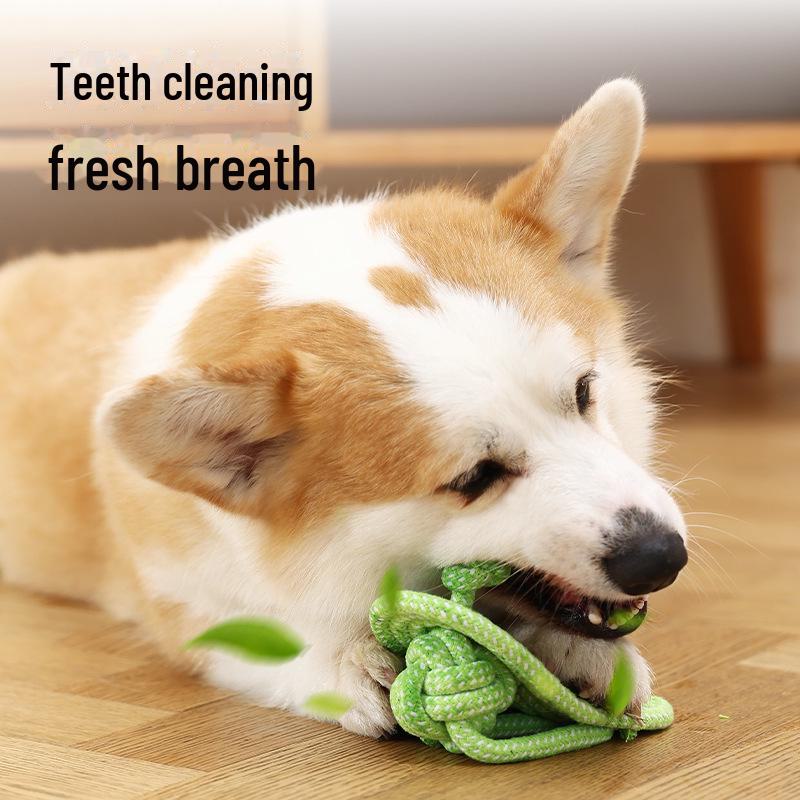 Carrot Chew Toys for Small and Medium Dogs - Self-Entertaining and Boredom Relief