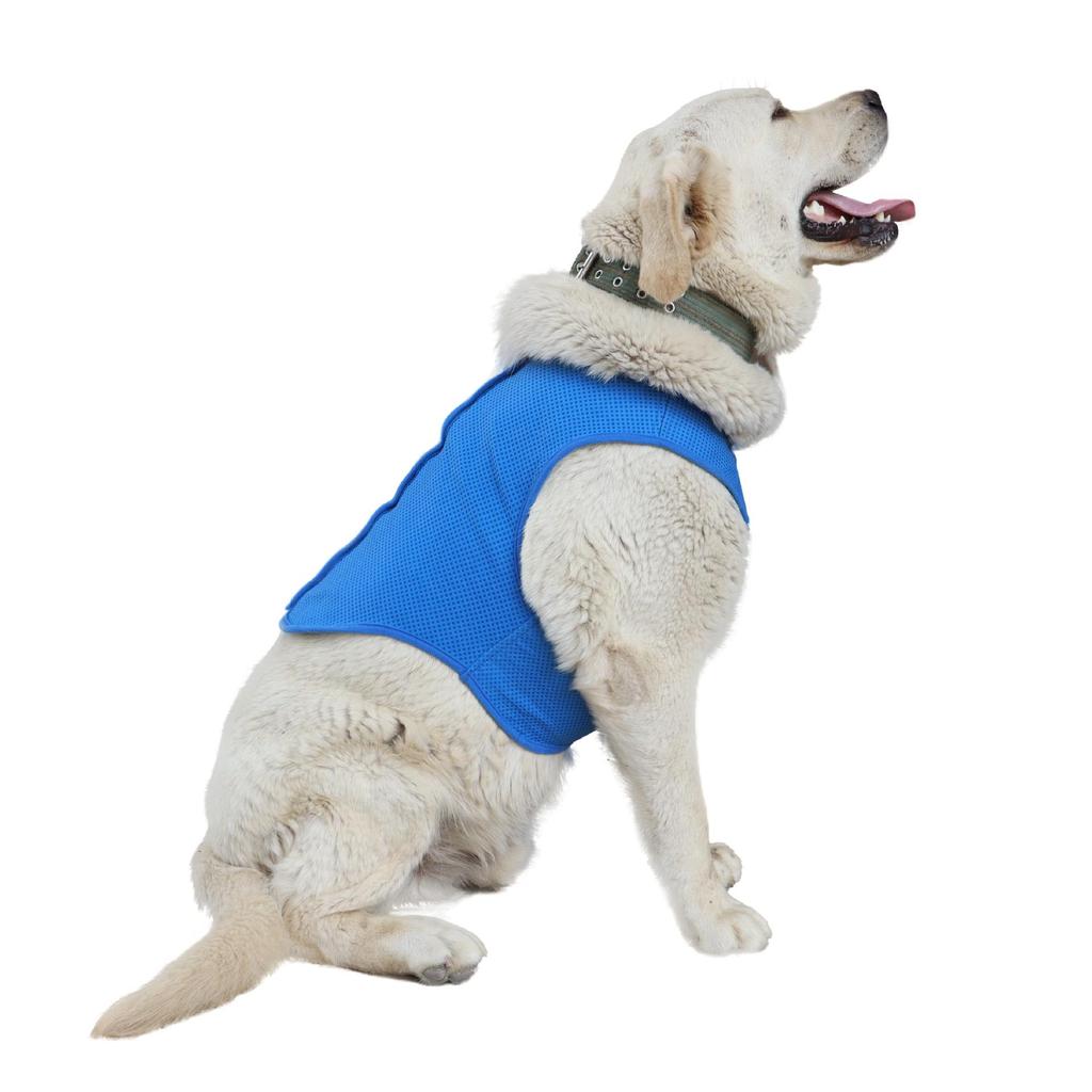 Pet Cooling Vest: Summer Heat Relief for Cats and Dogs