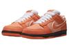Nike Dunk Low SB X Concepts Orange Lobster FD8776-800