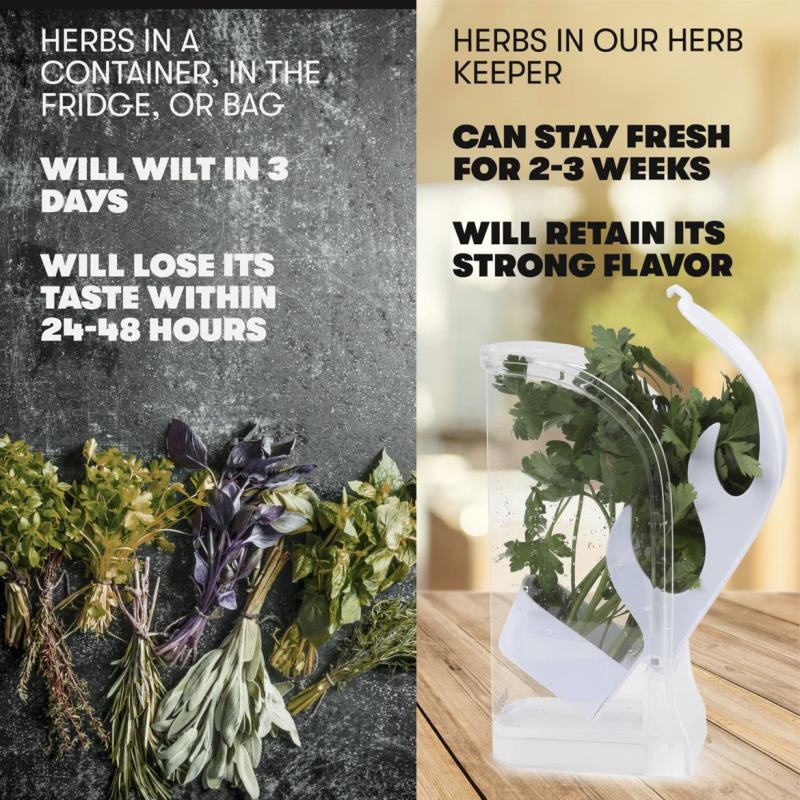 Herb Crisper Saver Container Refrigerator Side Opening Container Herb Vegetable Keeper Fresh Bottle Kitchen Gadgets