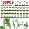 100-10PCS Plant Climbing Wall Self-Adhesive Fixed Buckle Hook Fastener Tied Fixture Buckle Garden Plant Wall Climbing Vine Clips