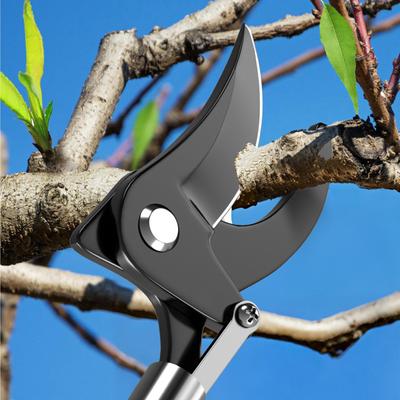 1M Fruit Picker Extra Long Fruit Picking Shears Pruning And Hold Bypass Pruner Max Cutting Grape Persimmon Picker Garden Tools