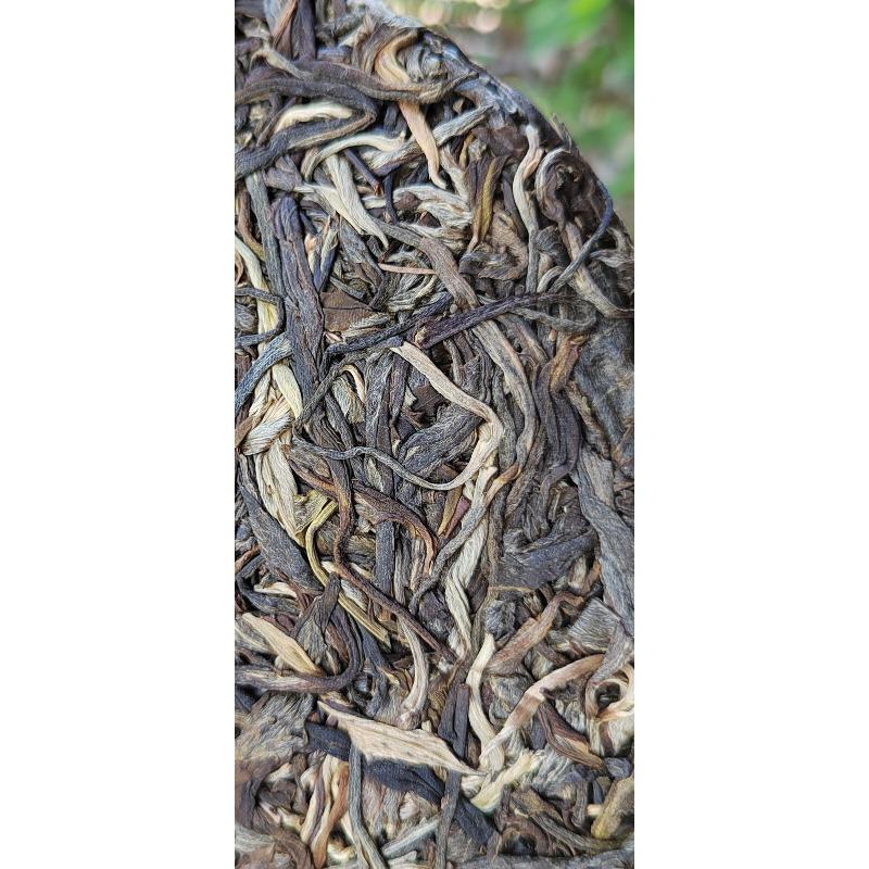 357g Ming Qian Ancient Tree Frühlingstee Pu'er Rohtee Siebensamen-Kuchentee