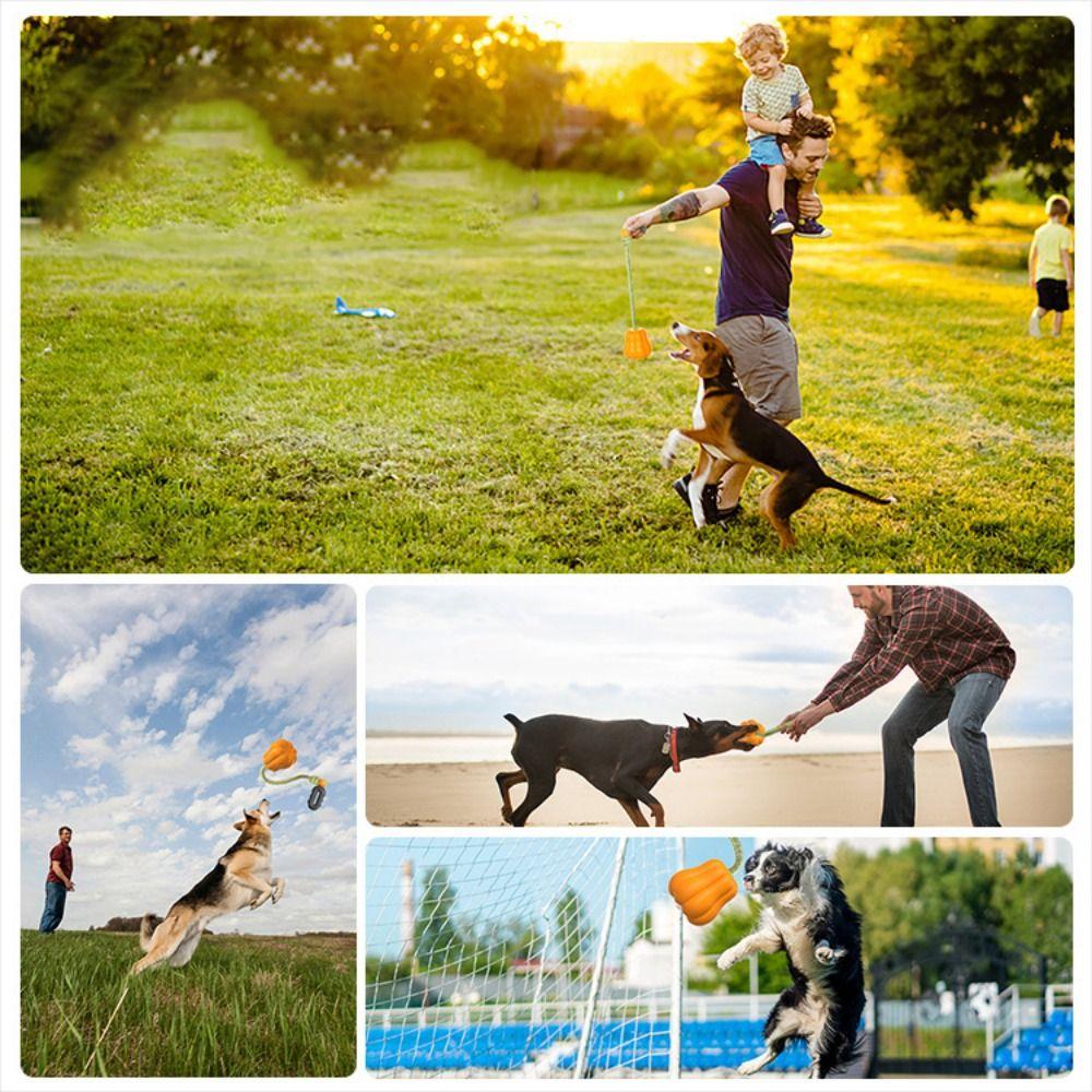 TPR Dog Pumpkins Ball Toy Bite Resistant Dog Chew Toys Funny Halloween Pumpkin Dog Toy  Halloween