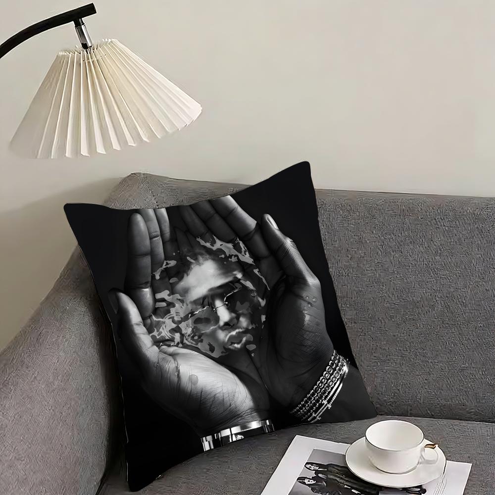

NNinho Rapper Cushion Cover Pillowcase Ultra Soft Skin Friendly Fabric Cloud Like Comfort Concealed Zipper 30x30cm