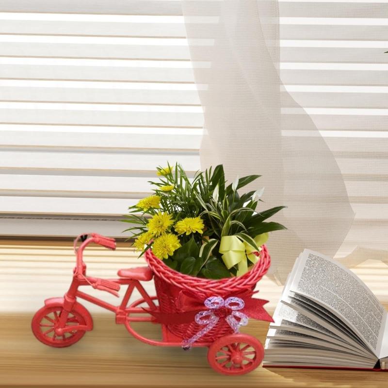 Bicycles Woven Basket Versatiles Rattans Bike Mounted Planter For Indoor Outdoor Flower Arrangements