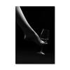 Black and White Retro Sexy Woman CanvasPainting Wine Car Silk Stockings Girls Print  Poster Flower Picture for Living Room Decor