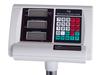 Platform Scale 40X50 300 (1)