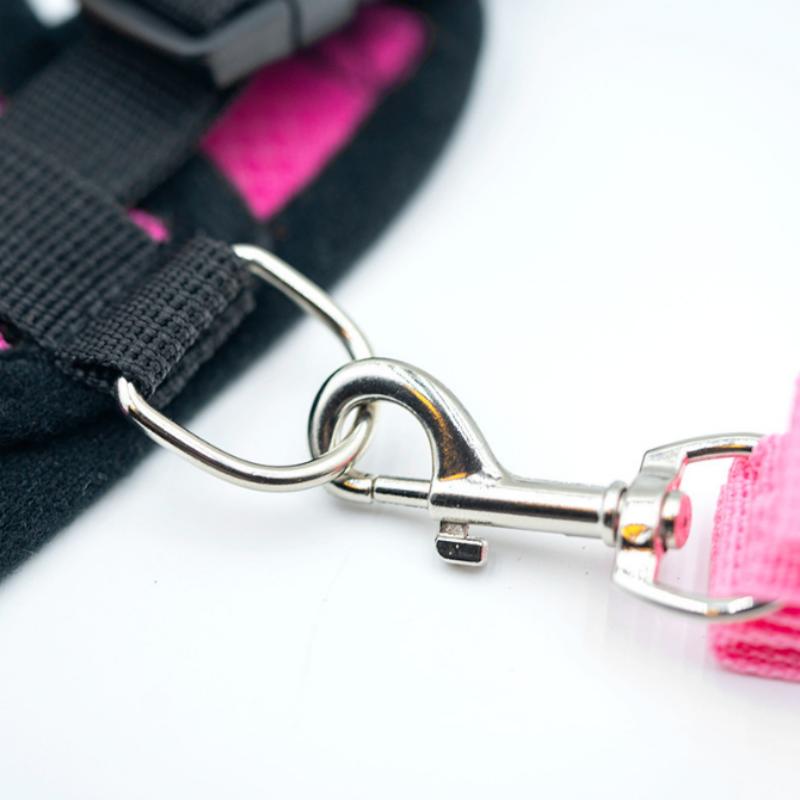 Pet Chest Back Small Dog Leash Summer Breathable Puppy Walking Chest Back Set Cat Outdoor Traction Rope Collar For Dogs Supplies