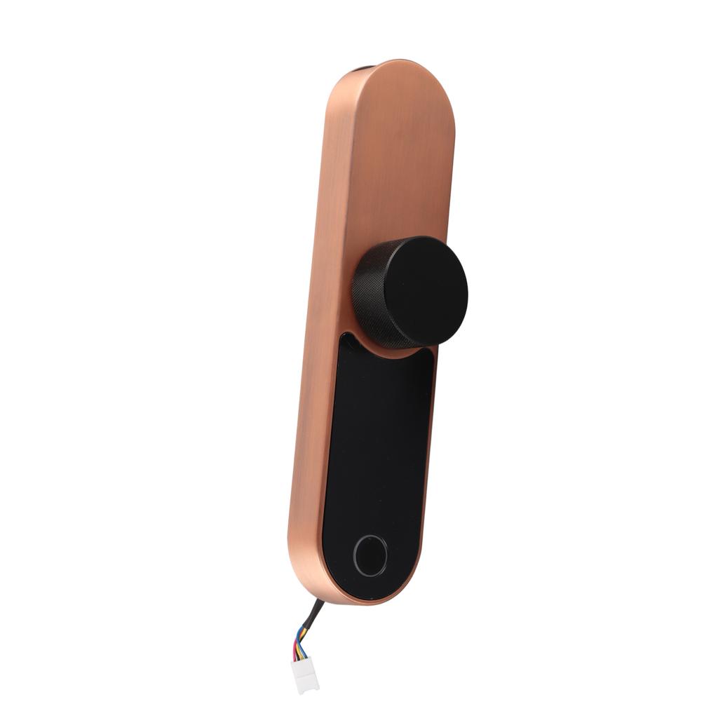 Fingerprint Password Lock Bluetooth APP Control Card Unlock for Office Hotel Apartment Door