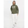 Толстовка Under Armour Ua Rival Fleece Logo Hd