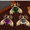 Women Girls Classic Transparent Jelly Belly Cicada Brooches Pins Vintage Creative Insect Series Badges Buckle For Lady