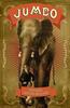 Jumbo by Stephens Gerard Malone Paperback Book 9781774712030