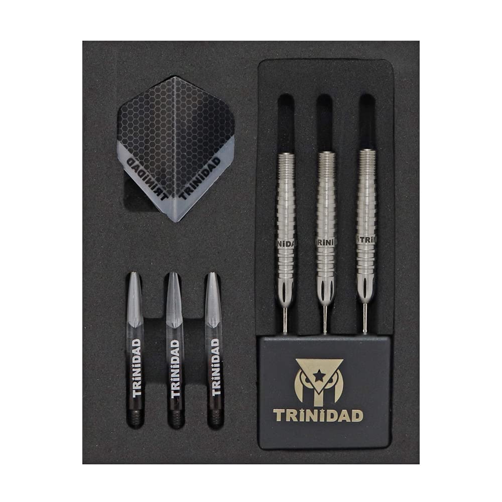 TRiNiDAD PRO Trinidad Pro Chavez Type3 Chavez Type 3 STEEL Shunsuke Sagara Player Model Dart Barrel Dart Set