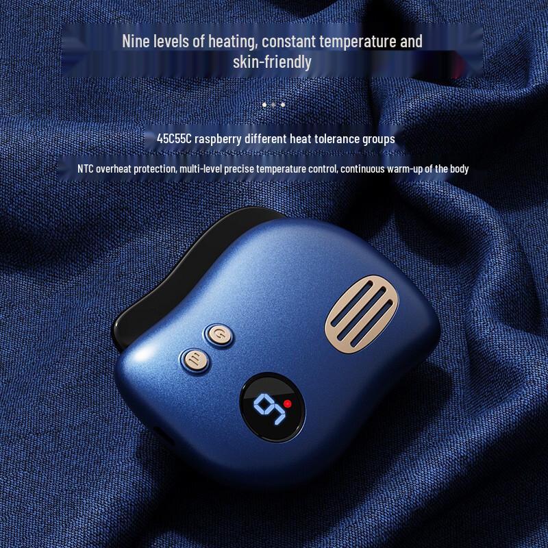 

Beidenshi BP-4 Electric Heated Bianstone Gua Sha Massager