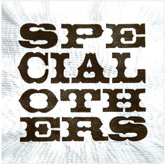 

CD SPECIAL OTHERS Special Others VIZL440 Victor Entertai 2011 Japan Japanese Club Dance Used