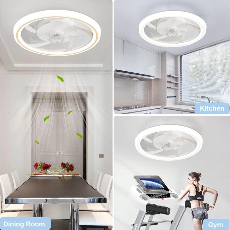IRALAN Smart Ceiling Fans With Lights Remote Control Living Room Lights Bedroom Decor Ventilator Lamp 48cm Silent Chandelier Fan