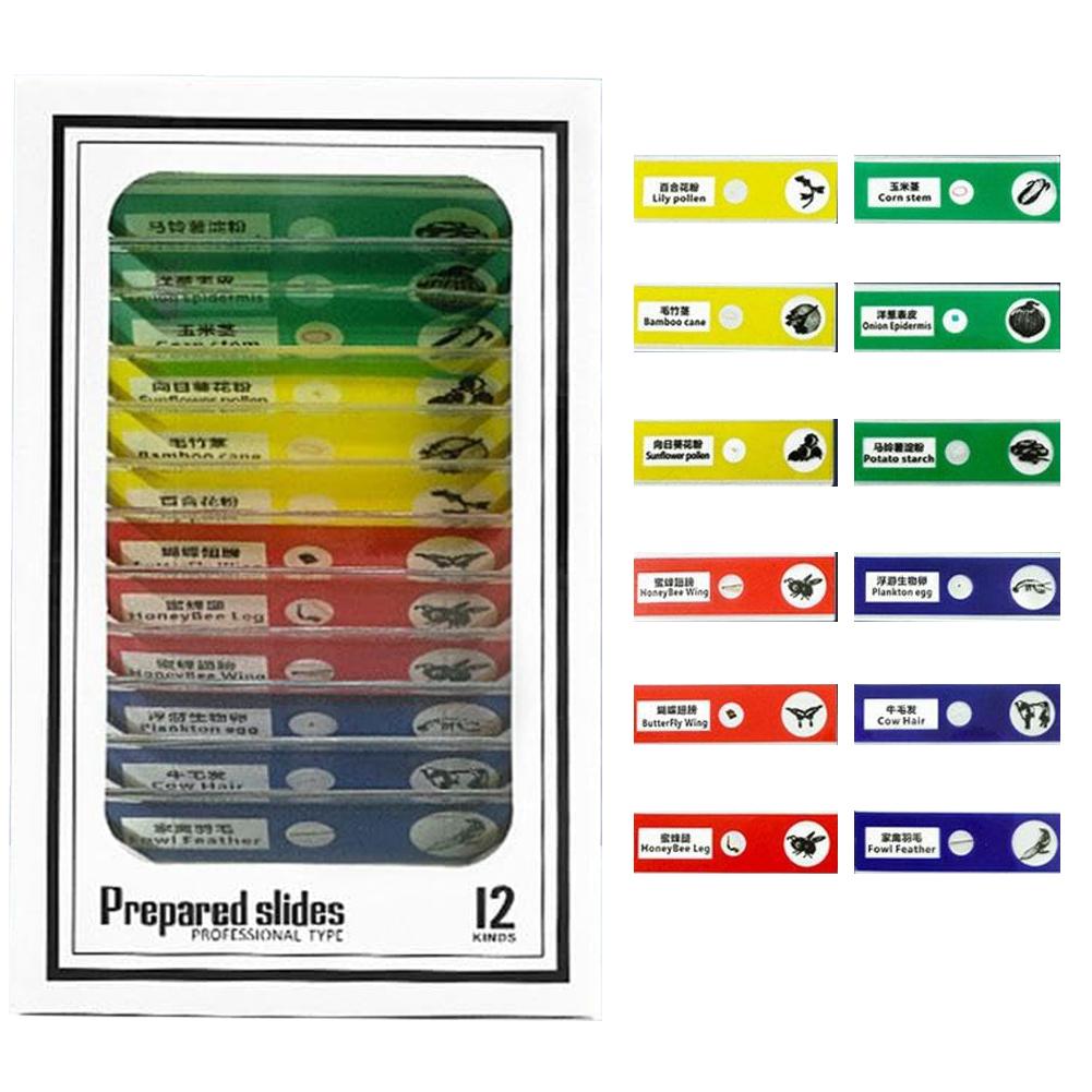 Handheld Microscope Mini Pocket Microscope Kit 60-120x Lab Microscope Zoom Wheel Adjustable with LED for Kids Educational