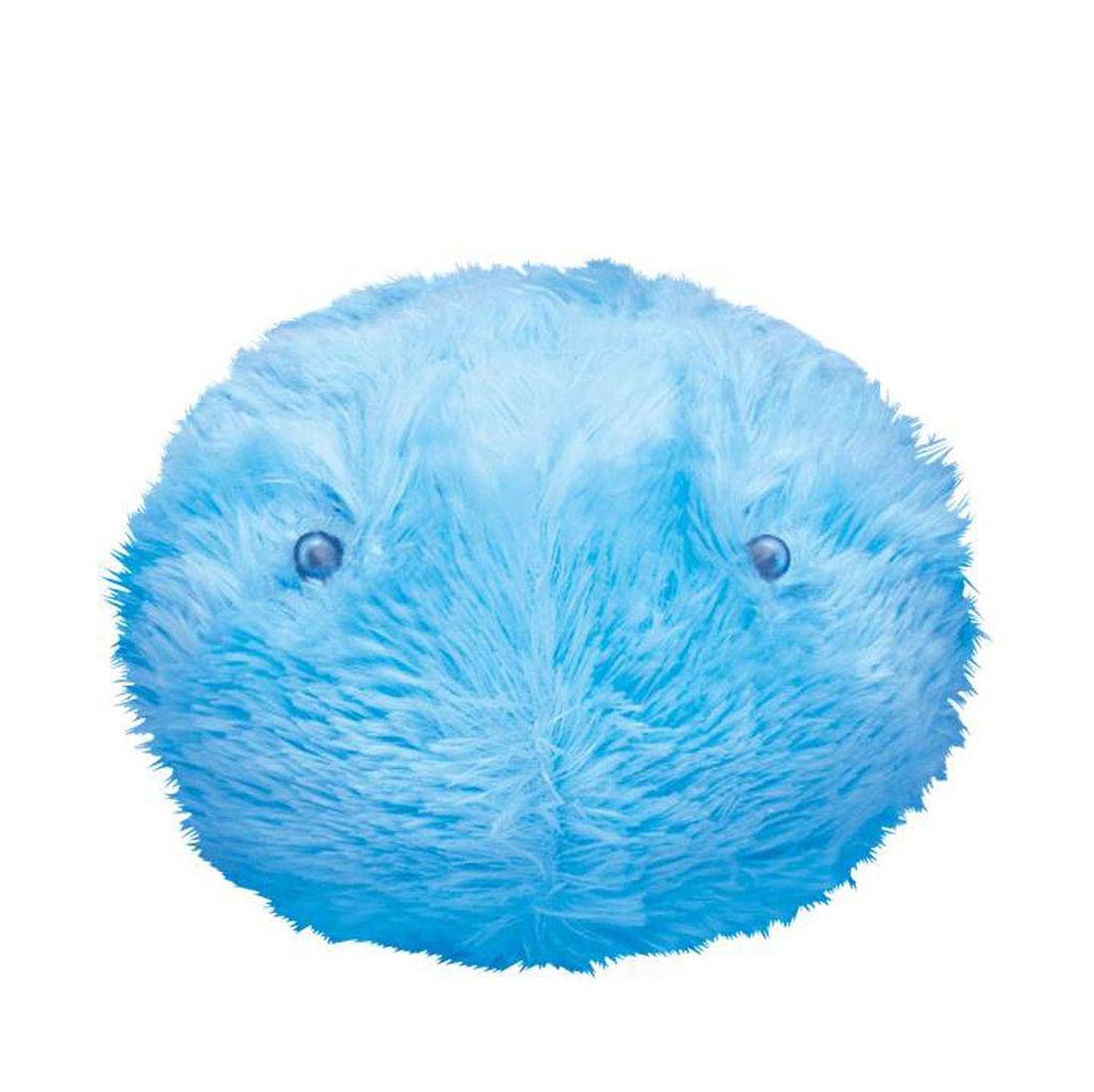 Rizmo (Aqua)