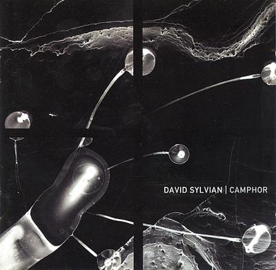 CD DAVID SYLVIAN - Camphor  CDVE96272438121 Venture, Virgin 2002 Europe Soul/Funk Used