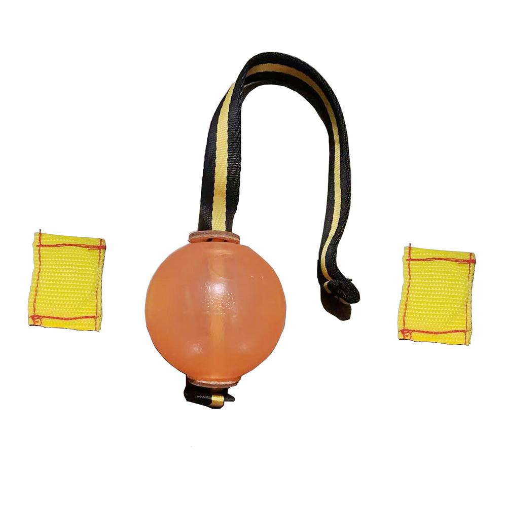 Palla Magnetica per Addestramento Cani, Palla Morbida Arancione/Blu con Corda