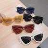 New Fashion Cat Eye Sunglasses Female Luxury Brand Designer Sun Glasses for Women Travelling Sun Shades Glasse Y2k