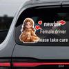New Female Driver Reflective Rear Windshield Waterproof Warning Sticker