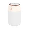 Portable Mini USB Air Humidifier Aroma Diffuser LED Cool Light 330ml Mist for Room Home Car Plant Purifier