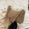 New Autumn Winter Lambswool Shoulder Crossbody Bag For Women Large Capacity Plush Handbag Fashi Messenger Bag Casual Hobo Bag