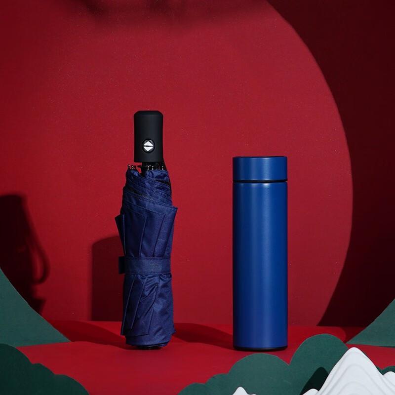 Corporate Insulated Tumbler Gift Set