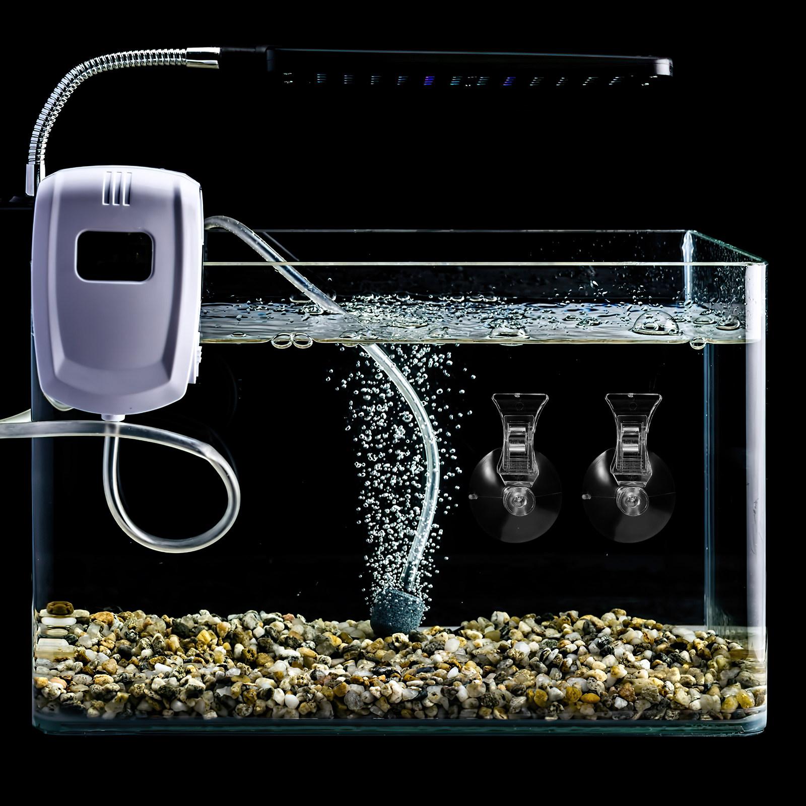 3Pcs Fish Feeding Suction Cup Clips Aquarium Seaweed Holder Fish Tank Accessories Seaweed Suction Cup Clip Feeding Tool Size 1