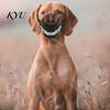 Spooky Pet Accessories Hell Hound Muzzle for Dogs, Scary Natural Latex Beast Costume Mask Funny Puppy with Adjustable Straps, Halloween Party Cosplay