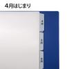 Plus Caregiving Support Index for User Medical Records, 12 Months (April Start, 6 Tabs X 2), 10 Sets, Gray FL-809IS  98-080 X 10