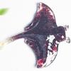 Ocean Creature Resin Sculpture With Natural Crystals For Home Decor And Giftgiving