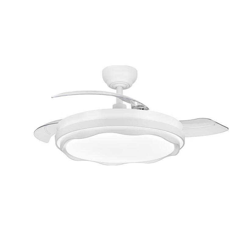 oeny 42-inch Invisible Blade Ceiling Fan with Light