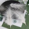 50Pcsdiy Color Feather Full Fleece Turkey Feather Clothing Antique Headdress Pet Toy Handicraft Decoration