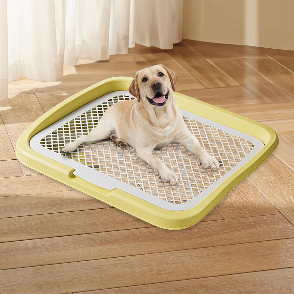 Dog Potty Training Toilet Portable Puppy Pad Holder for Dormitory Home Bunny