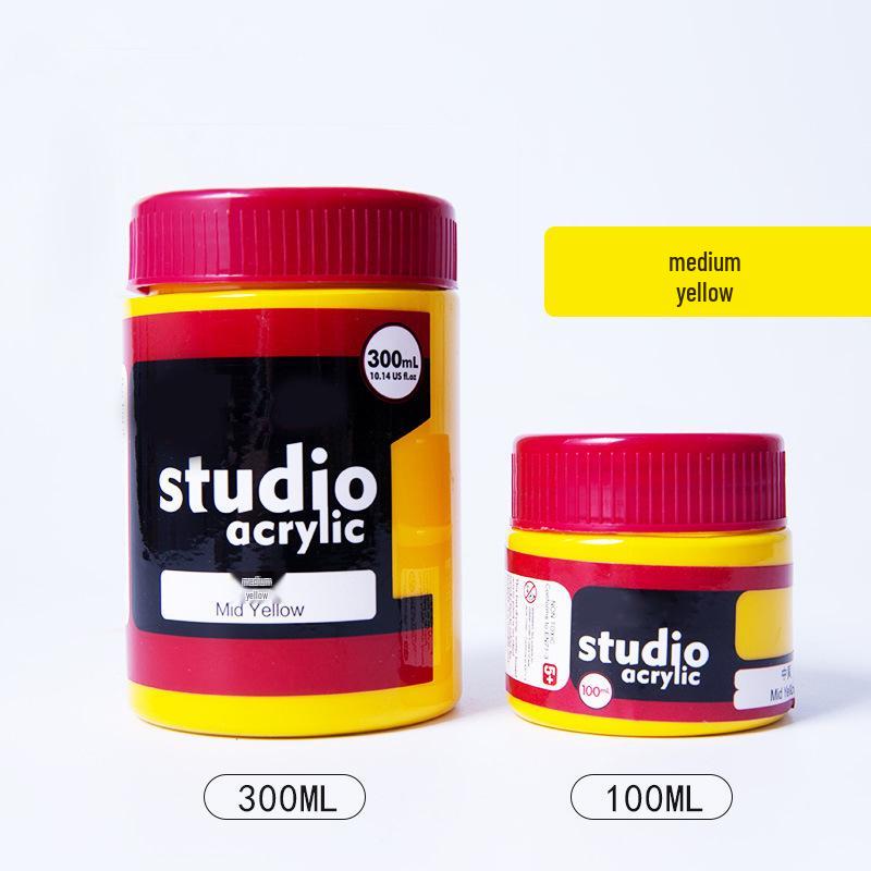 24-Color Acrylic Paint Set: Waterproof, 300ml Cans for Wall, Clothing & Shoes DIY Projects