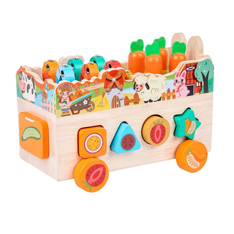 Farm Themed Animal Wooden Brain Teaser Puzzle For Preschool Games Educational