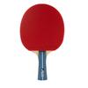 JOOLA Team Premium Table Tennis Racket