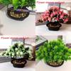 Pinus Hwangshanensis Artificial Bonsai With Plastic Material For Home Decor And Gift Use