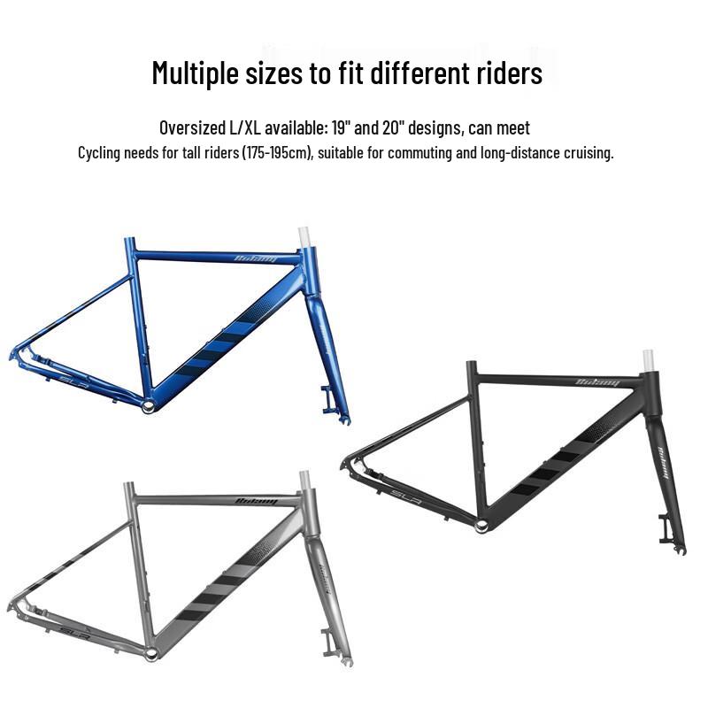 Lishi Disc Brake Thru-Axle Road Bike Frame