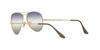 ARISTA 55 Sunglasses RB3689 Ray-Ban