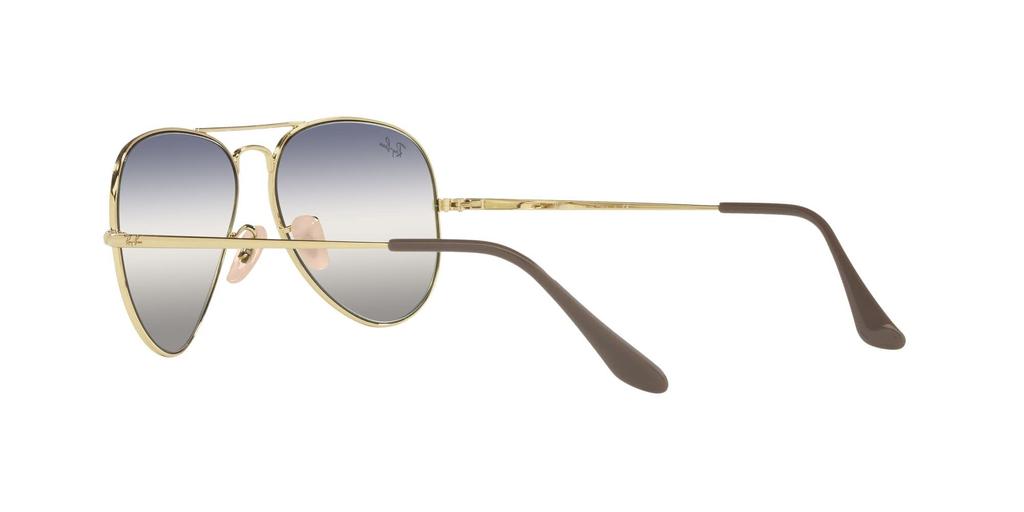 ARISTA 55 Sunglasses RB3689 Ray-Ban