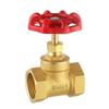 Zhu Yun Forged Brass Globe Valve