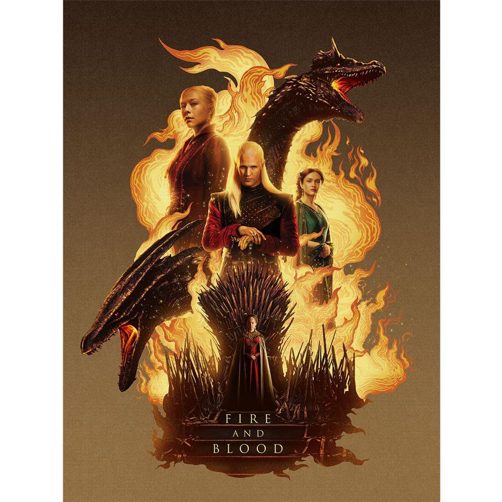 House Of The Dragon Fire And Blood Canvas Print