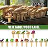 15PCS Reusable Plant Markers T-Type Vegetable Name Tag Insert Type Plant Sign  Garden Use