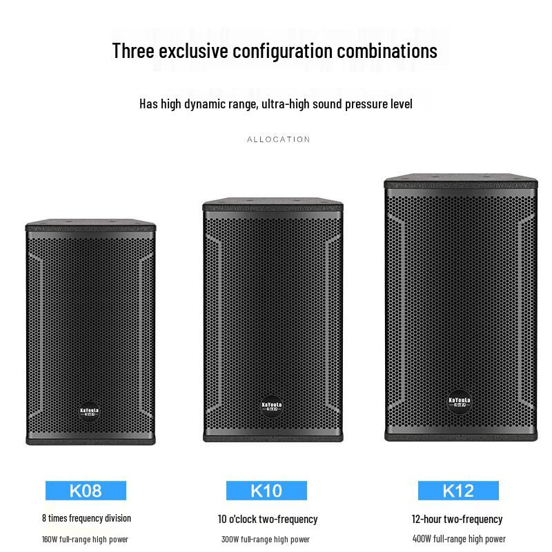 Kayula Professional Stage HIFI Speaker (CN version)