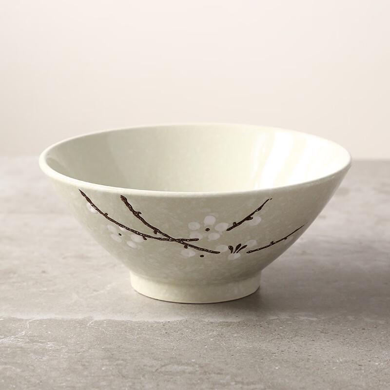 Japanese Style Underglaze Ceramic Noodle Bowl Set of 2